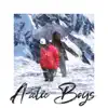 Secrettheartist - Arctic Boys